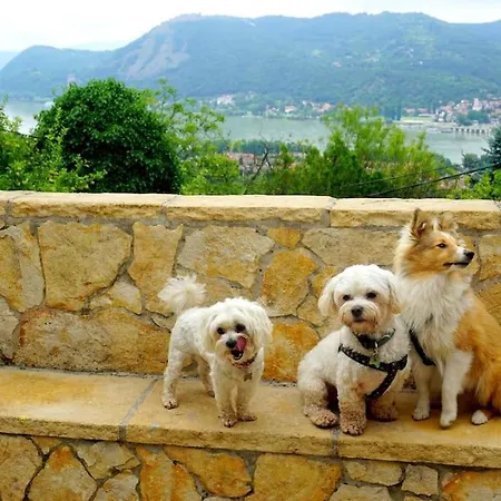 Magicmaros - Unforgettable View From Csodahaz Case de vacanță Nagymaros