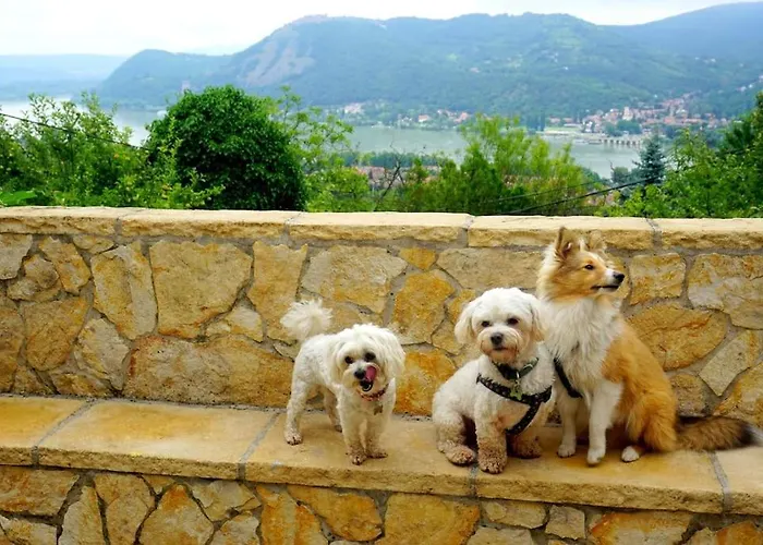 Magicmaros - Unforgettable View From Csodahaz Semesterbostad Nagymaros